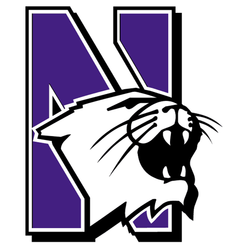 Northwestern Wildcats iron ons